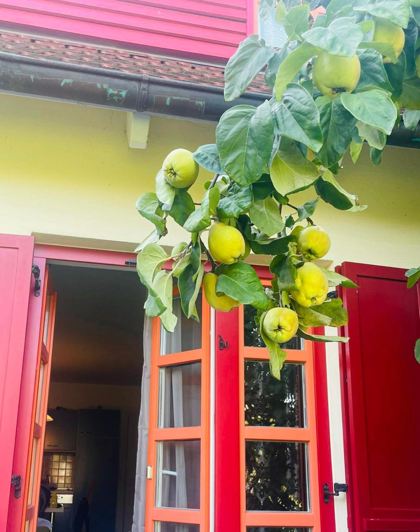 Moewenblick Bakenberg-41 Ferienwohnung Mit Terrasse, Doppelbett, Schlafsofa, Vollstaendige Komfortkueche Дранске Экстерьер фото